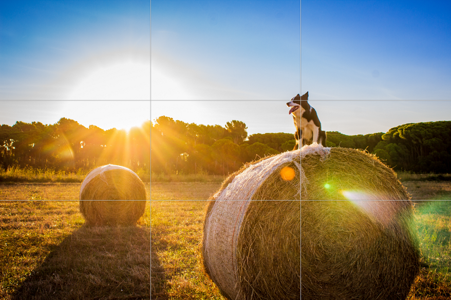 Tipps für Ihre Urlaubsfotos