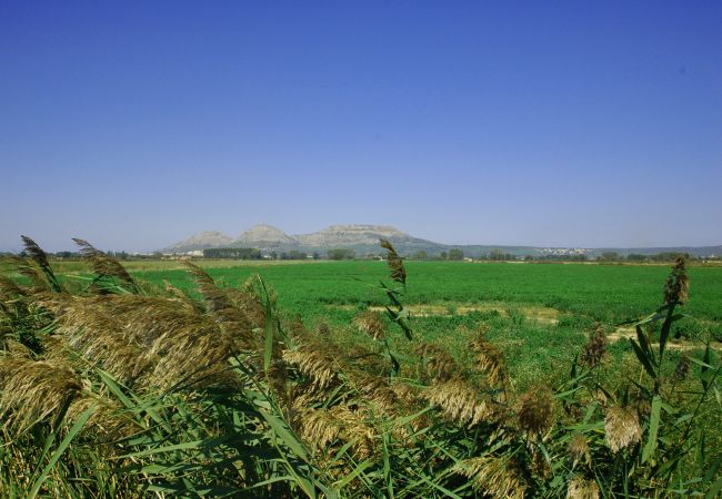 Casa en Torroella de Montgri - Casa Surf - piscina privada, aire i prop de la platja Casa en Torroella de Montgri - Casa Surf - piscina privada, aire i prop de la platja