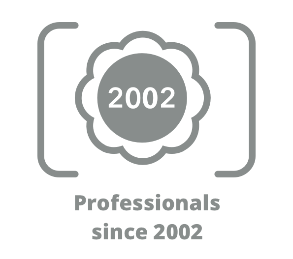 professional_2002