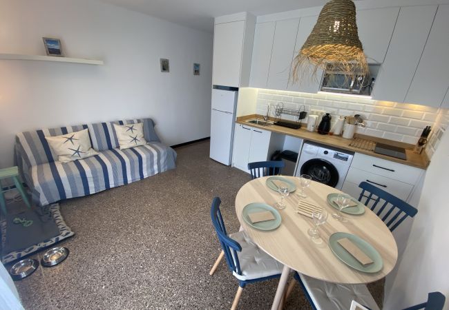 Ferienwohnung in Torroella de Montgri - TER 11D Erschwingliche Wohnung mit Pool in Strandnähe Ferienwohnung in Torroella de Montgri - TER 11D Erschwingliche Wohnung mit Pool in Strandnähe