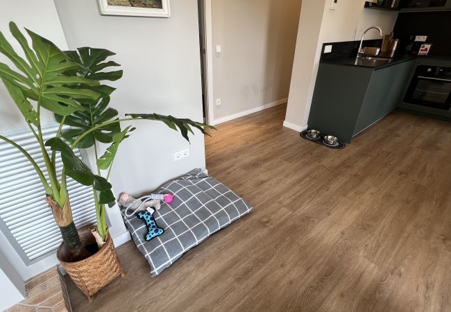 Villa en Torroella de Montgri - Casa Blum - Aire, piscina privada y jardín Villa en Torroella de Montgri - Casa Blum - Aire, piscina privada y jardín